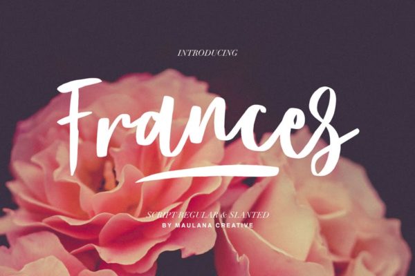 复古优雅风手写签名英文字体 Frances Modern Font