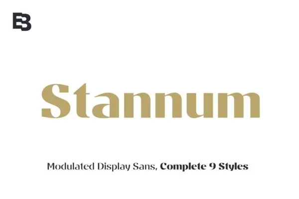 简单典雅杂志标题素材无衬线字体 Stannum