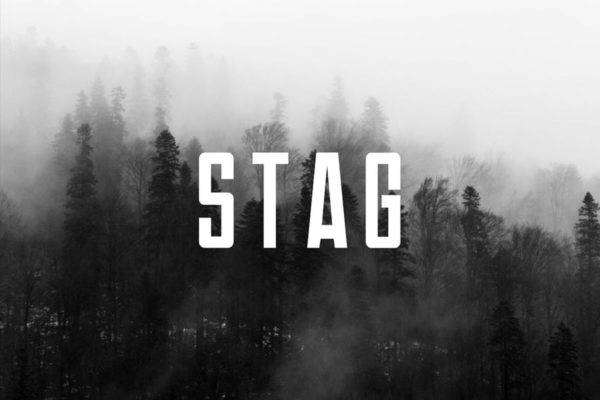 独特品牌VI视觉设计英文无衬线字体v3 STAG – Modern Display / Headline / Logo Typeface