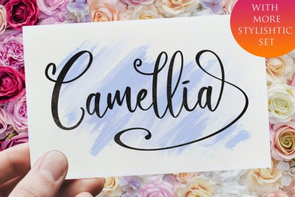 浪漫唯美婚纱婚礼邀请函字体 Camellia Script