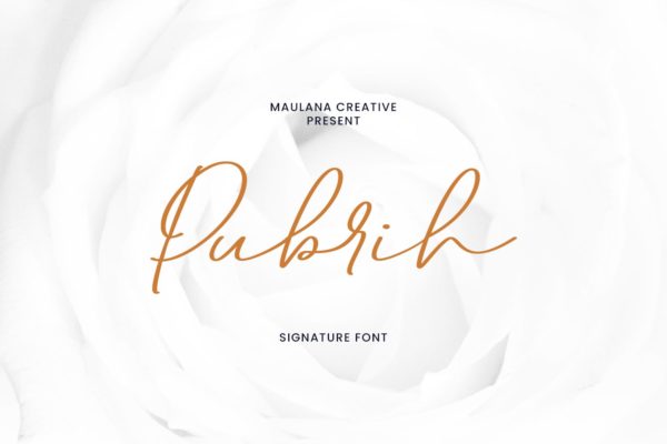 时尚个性连笔设计签名手写字体 Pubrih Signature Font