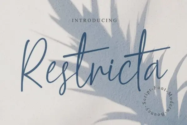 大尺寸作品适用英文签名手写脚本字体 Restricta – Signature Font