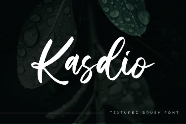 随意手写风格英文笔刷字体合集 Kasdio – Casual Brush Font