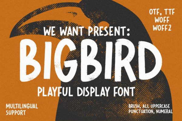 大写磨砂纹理英文装饰字体 Bigbird Playful Display Font