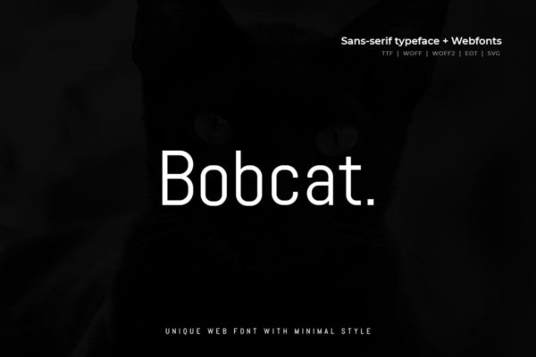 现代极简稳重猫系设计无衬线字体 Bobcat  – Modern Typeface + WebFont