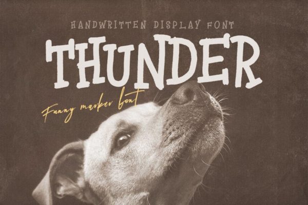 马克笔涂鸦风格英文手写字体 Thunder Handwritten Font