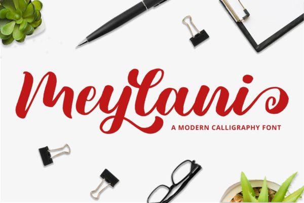 优雅趣味婚礼贺卡邀请函字体 Meylani