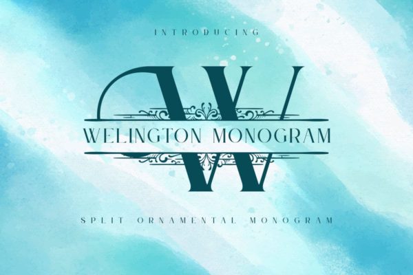 创意拆分字母效果英文衬线字体合集 Welington – Split Monogram Font