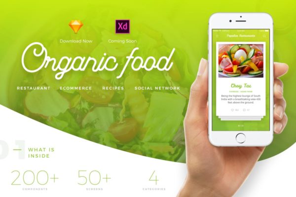 食物主题 APP UI 套件 Food UI Kit – Restaurant, Recipe, Shop, Social
