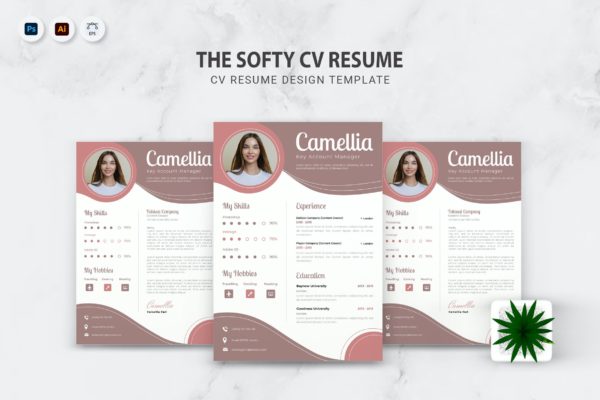 客户经理职位应聘简历模板 The Softy CV Resume