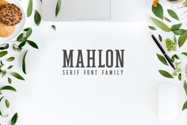 漂亮极简的品牌衬线字体工具包 Mahlon Serif Font Family Pack
