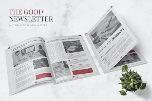 企业公司简讯杂志设计模板 Good Company Newsletter