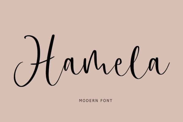 豪华优雅连笔设计手写字体 Hamela Modern Font