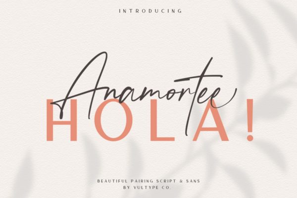 高雅古典英文细线字体组合 Anamortee Font Duo
