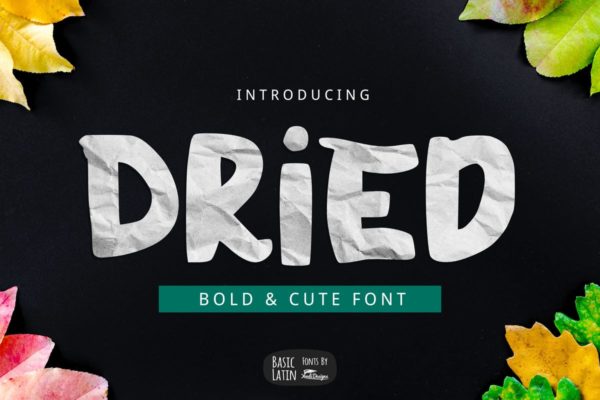 活泼简单可爱趣味儿童粗圆无衬线字体 Dried Bold Font