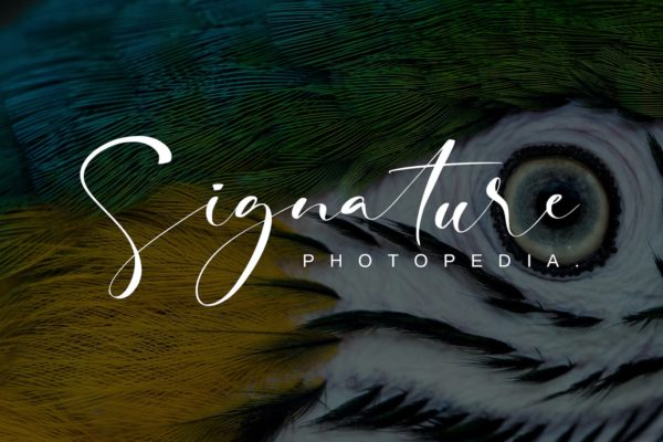 高雅手写风格英文签名字体设计 Signature Photopedia