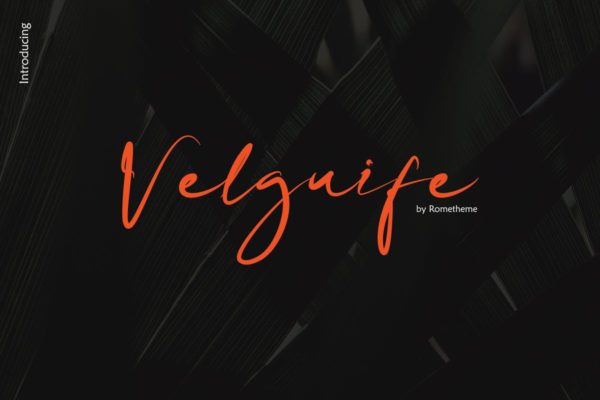 简单优雅的英文手写广告字体素材 Velguife Script Font