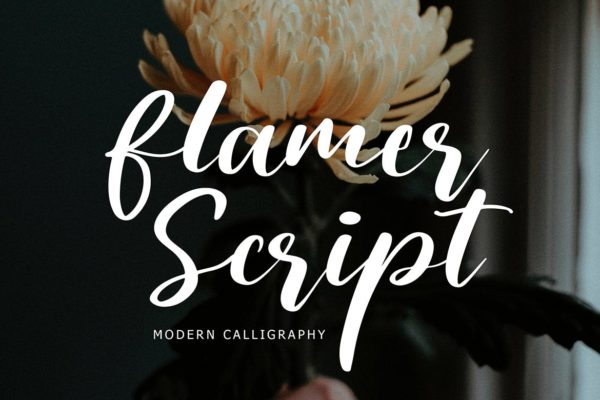 创意现代书法风格英文手写字体 Flamer Script Modern Calligraphy