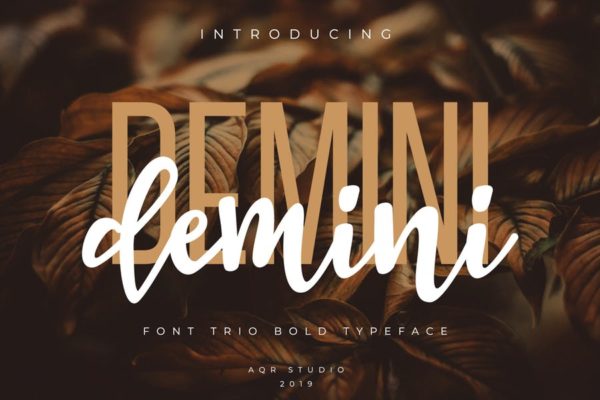 风格大胆的书法风格手写英文体＆复古无衬线字体 Demini Font Trio with ornamen