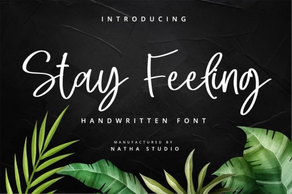 唯美细线条手写英文字体合集 Stay Feeling
