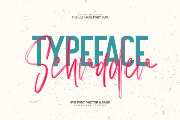 创意手写签名SVG笔刷字体 Schrader SVG Brush Font