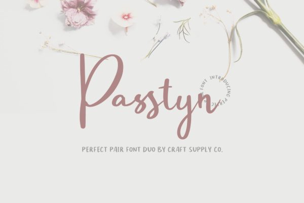 唯美手写连笔效果英文字体素材 Passtyn – Handwritten Font Duo