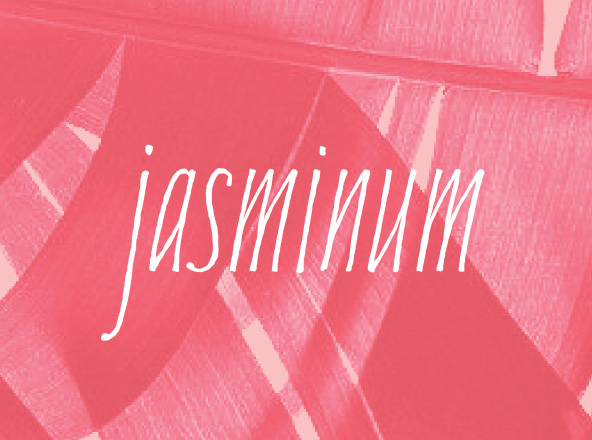 个性自由书法风格英文手写字体 Jasminum Typeface