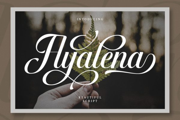 现代连笔书法英文字体素材 Ayalena