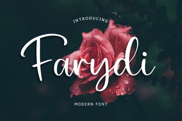 优雅浪漫婚纱情侣邀请函手写字体 Farydi Modern Font