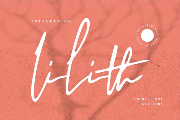 抽象单线艺术英文手写字体 Lilith | A Script Font