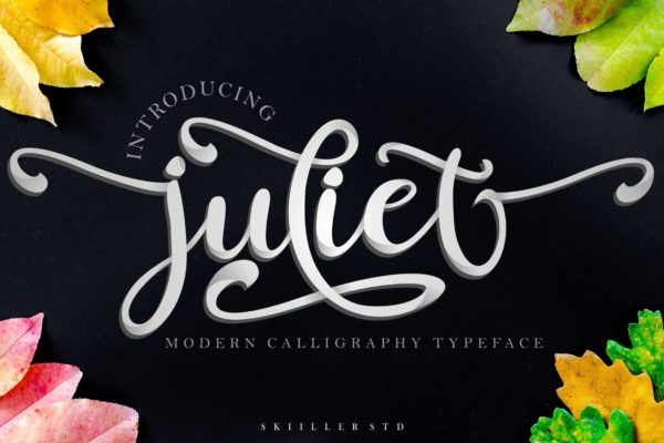 粗线线条拉长英文印刷字体素材 juliet Modern Calligraphy