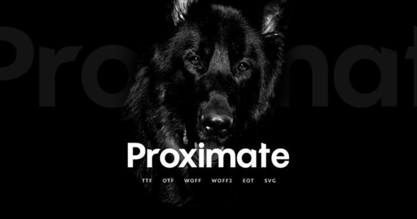 现代无衬线字体＆装饰性网页字体 Proximate – Modern Display Typeface + WebFonts