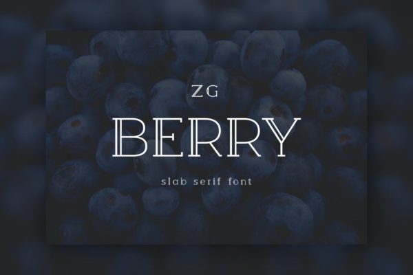 多功能创意单边双线条衬线字体 Berry Slab Serif Font