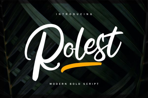 现代书法艺术英文粗体手写字体 Rolest | Modern Bold Script Font