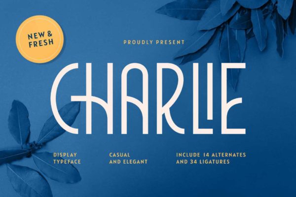 现代时尚简洁装饰无衬线字体 Charlie