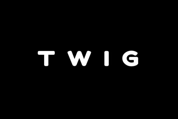 独特品牌VI视觉设计英文无衬线字体v8 TWIG – Unique Display / Headline / Logo Typeface