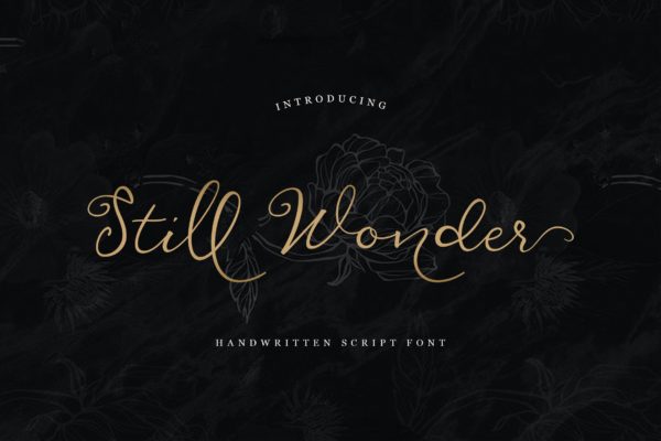 现代清新风格画册诗集手写字体 Still Wonder Script