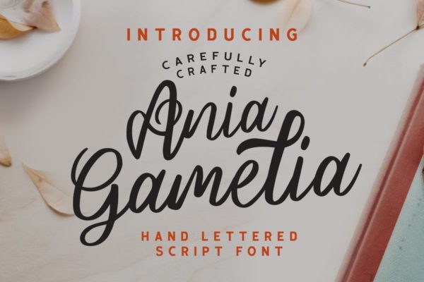 时尚精致品牌设计英文手写草书脚本字体 Ania Gamelia – Handlettering Script Font
