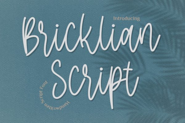 漂亮品牌标志设计单线英文脚本字体 Bricklian Script