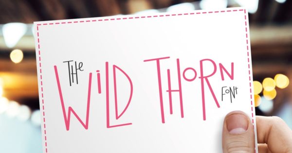 独特时髦小字母英文字体素材 Wild Thorn Font