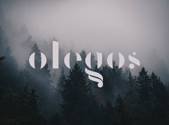 自由优雅无衬线英文字体素材 Olegos Typeface