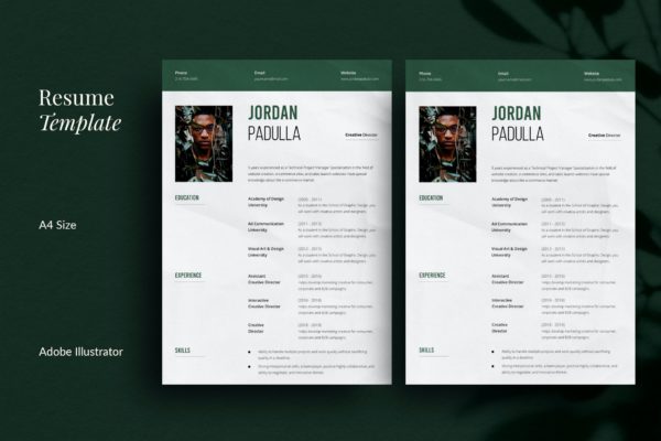 客服跟单应聘简历模板下载 CV Resume | Modern