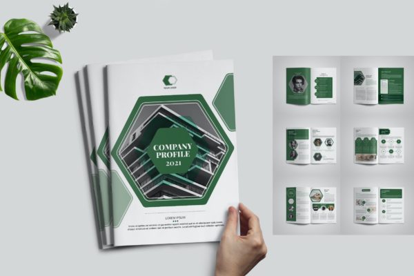 绿色环保企业项目计划书模板 Company Profile