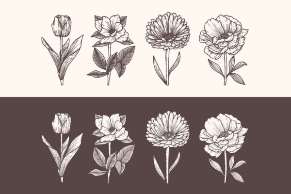 手绘花卉复古插画v2 Handdrawn Flower Vol.2