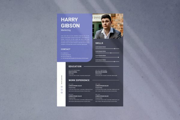 营销经理简历设计模板 Harry Gibson Resume
