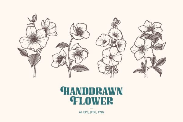 手绘花卉复古插画v1 Handdrawn Flower