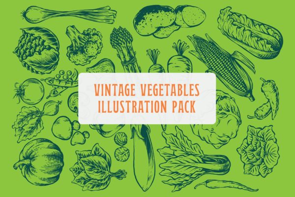 复古蔬菜插画矢量素材 Vintage Vegetables Illustration Pack