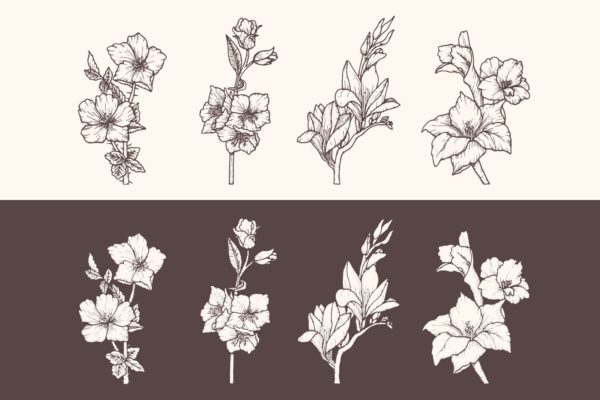 手绘花卉复古插画v3 Handdrawn Flower Vol.3
