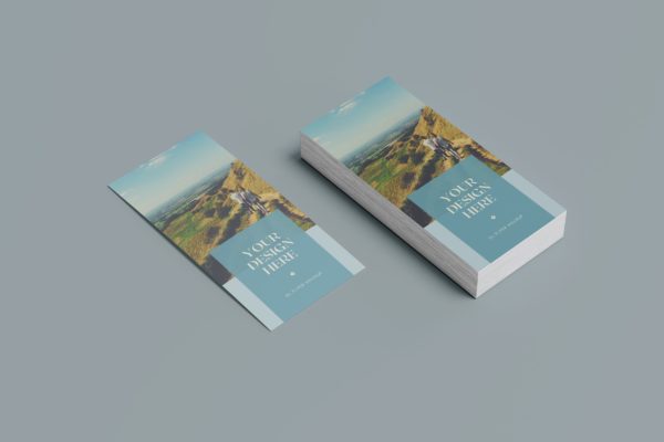 DL竖版尺寸广告传单样机 DL Flyer Mockup Vertical