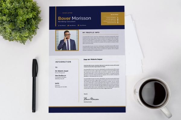 营销顾问简历设计模板 Marketing Consultant CV Resume